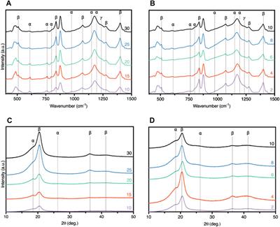 Biomimetic dual sensing polymer nanocomposite for biomedical applications